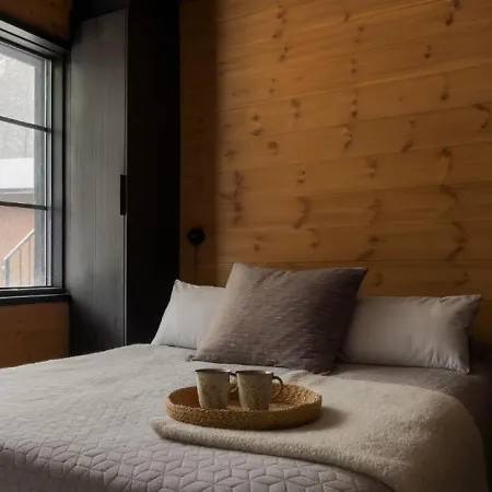 Nova A2, Hot Tub Access, Ski-in Ski-out By Aavalevi * Levi